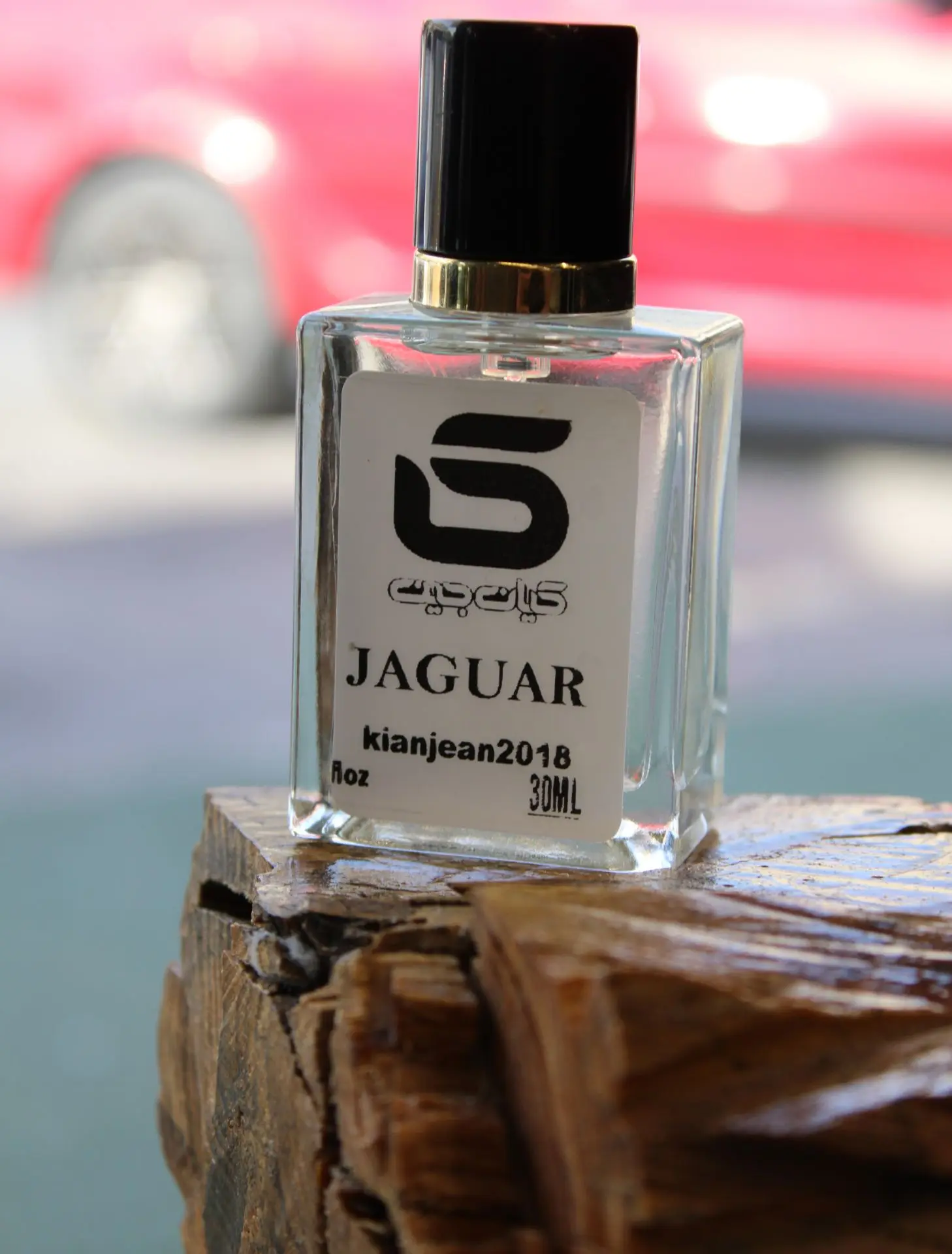 (JAGUAR)